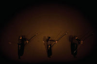 3 ARCHERS I No Frame