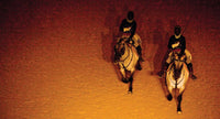 EN GUARD No Frame