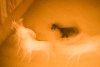 ENERGY III No Frame