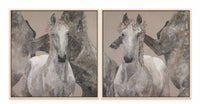 EYE OF THE STORM - DIPTYCH with Natural Maple Floating Frame