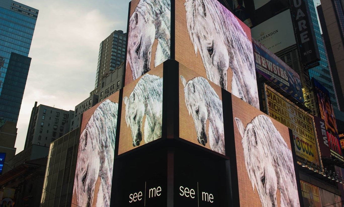 HORSES IN THE HEART OF CHAOS: BRINGING PEACE TO TIMES SQUARE