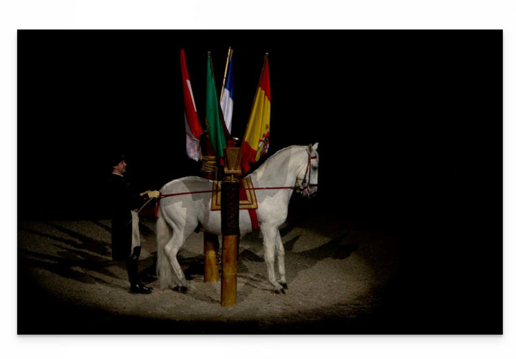 DANCING FOR 2 – SPANISH RIDING SCHOOL