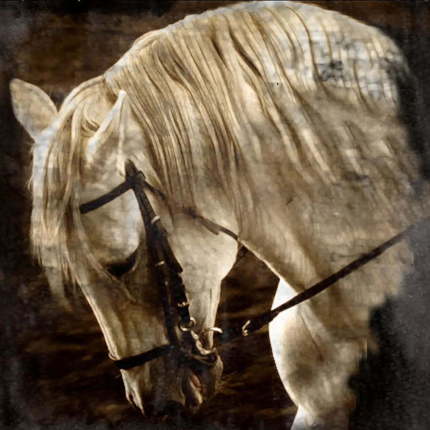 TIMELESS HEART No Frame