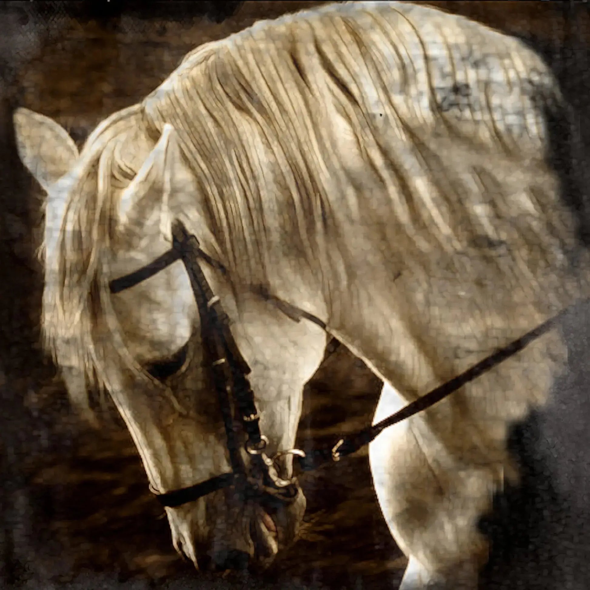 TIMELESS HEART No Frame