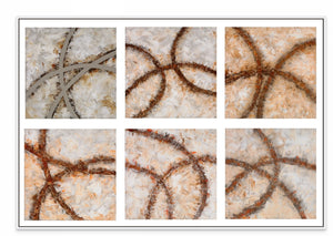 69x47in (176x120cm) - XL / White Maple