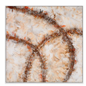 50x50in (127x127cm) - XL / White Maple