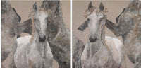EYE OF THE STORM - DIPTYCH No Frame