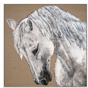 50x50in (127x127cm) - XL / White Maple