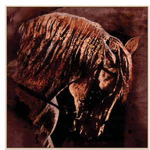 50x50in (127x127cm) - XL / Natural Maple