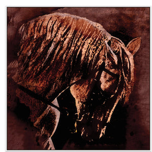 50x50in (127x127cm) - XL / White Maple