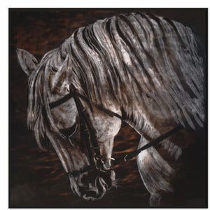50x50in (127x127cm) - XL / Black Oak