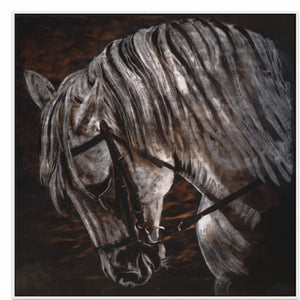 50x50in (127x127cm) - XL / White Maple